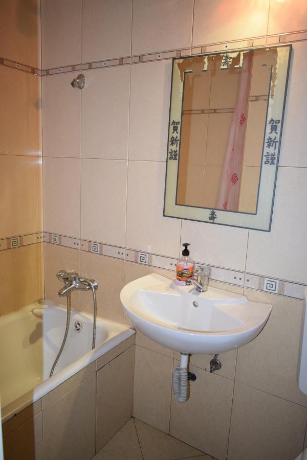 Apartament Transilvaniei RHBM Baia Mare Exterior foto